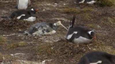 December 31st, 2019 ===> January 1st, 2020