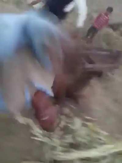 Indeed a good fight.