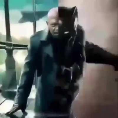 I just dont like them >:(