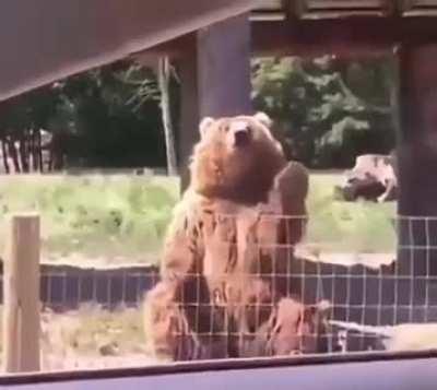 The first one is half floof.