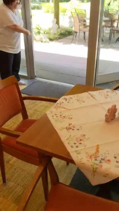 some ducklings invaded Cafe today