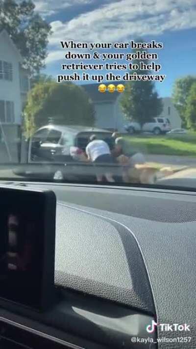 Super cute and sweet of the dog, but also...