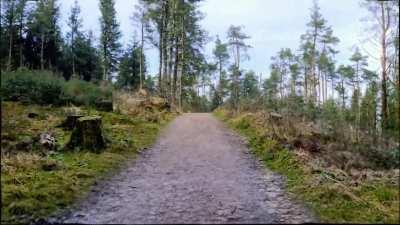 Uphill Struggle ( LSD )