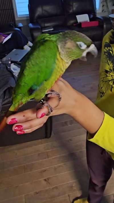 What is he/she doing? Playful or some signal?