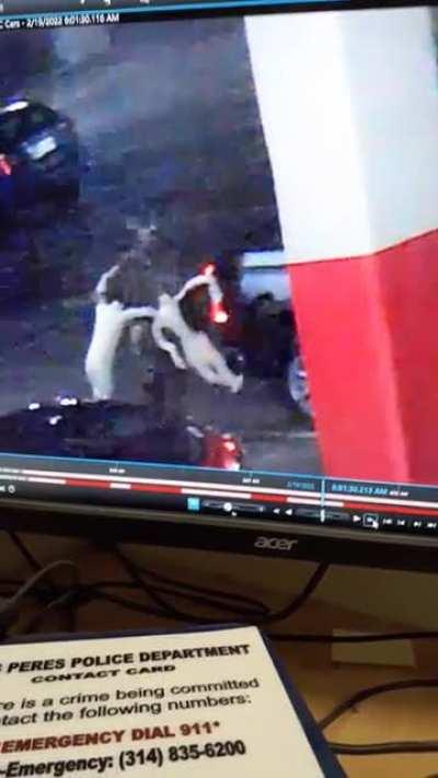 Alien Sex Dolls? I saw someone loading these into his truck. Any idea what they are?