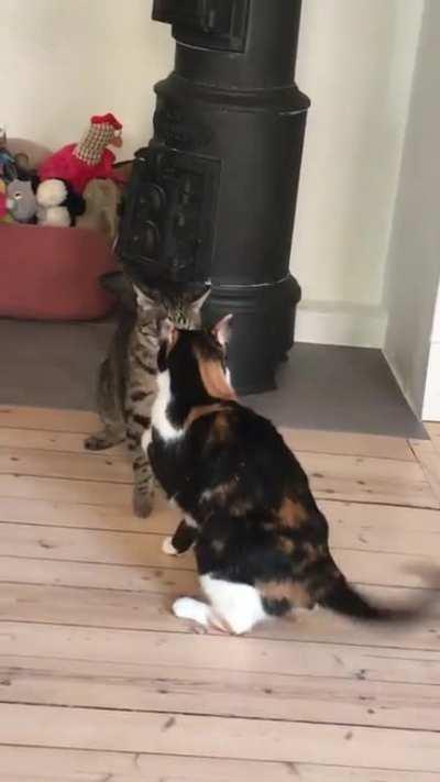 A proper fucking slam right there