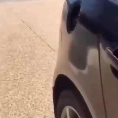 Best car in the world :d