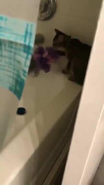 Little jerk got busted!