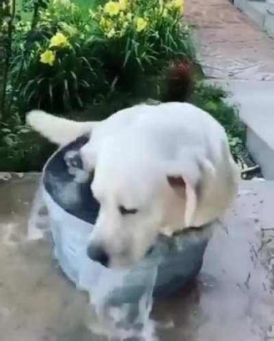 Water Lover