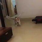 And they say angels don't exist