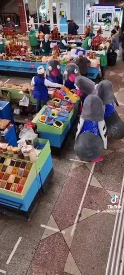 What model are these? I’ve never seen drones so large!