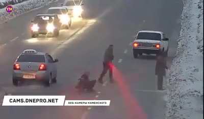 Regret served after endangering a dog.