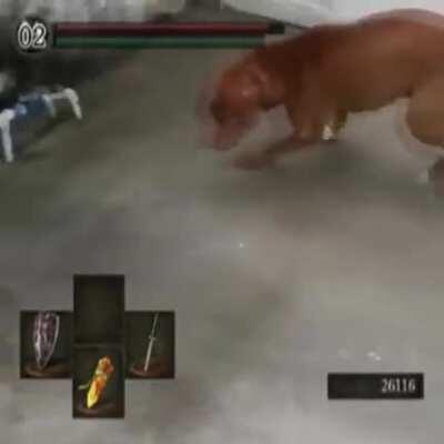 Cachorro com a faca de cortar pão