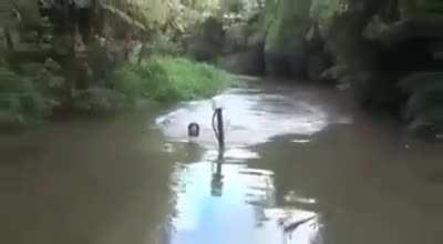 Вот это, блять, внедорожник