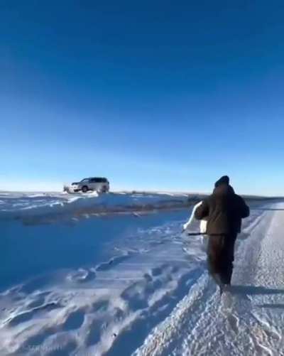A man saved a pair of swans from death in a frozen lake. Lake Torsykbay.
