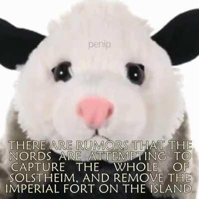 This animal has important news!