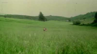 Gloria Guida - La Novizia (IT1975) - Found the girl, lived happ... oh.