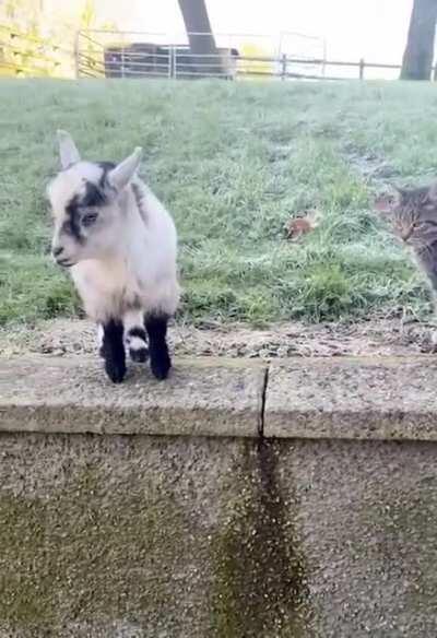 What's wrong with him?