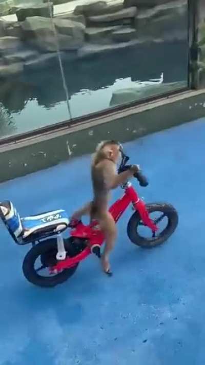 Se il week-end fosse antropomorfo belike this