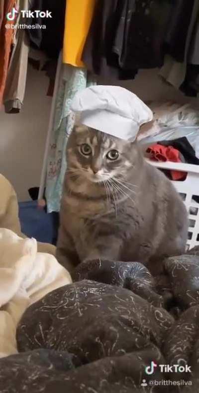 Meow🥖irl