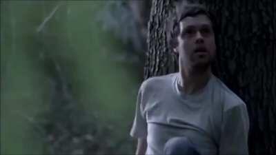 Хорошая история