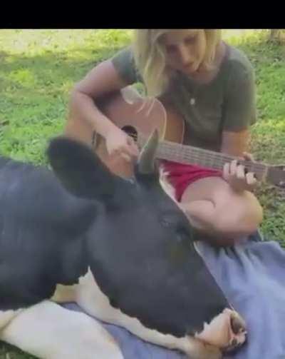 This video legit made a (22m) cry if this doesn’t convert peoples way of thinking I don’t know what will