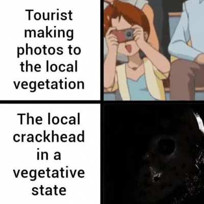 japanese tourists are really dumb