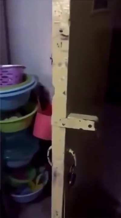 This door has a wicked laugh