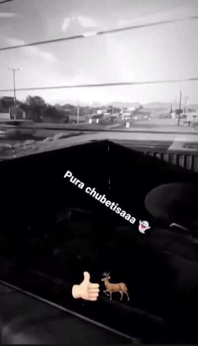 La chapiza full force in Altar Sonora