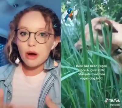 This is just animal abuse