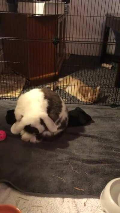 These two spend more time getting ready than they actually do on dates!