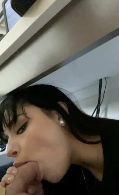 My roommate had a zoom meeting with his boss this morning, I spent the whole time under his desk trying to distract him.