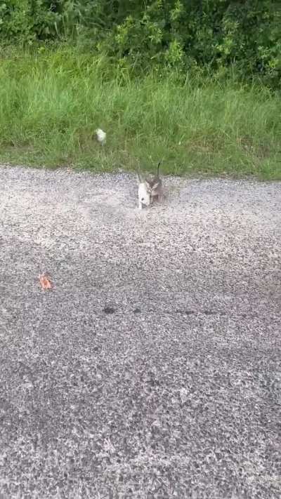 The way they all came out 🥺🤣