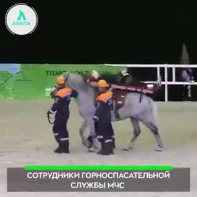 WCGW putting a patient on top of a horse