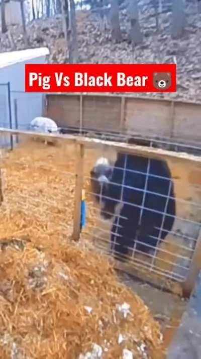 secret character unlocked