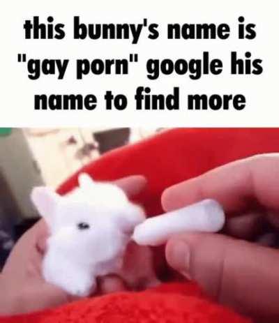 posting until i get a two month ban, #53