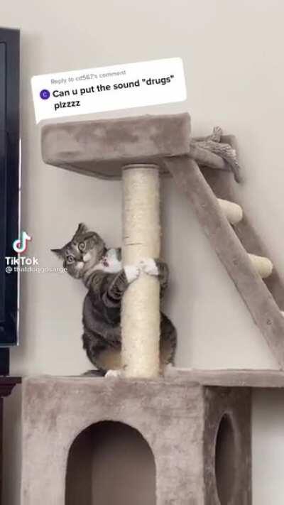 “Who in- ... who invited you?”