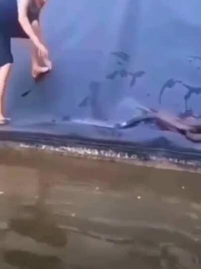 Don’t mess with my little brother