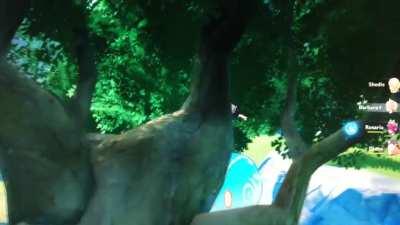 Can anyone explain...?