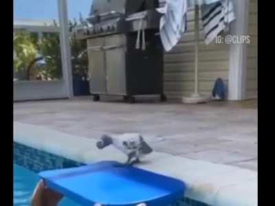 Little birdie has trust issues