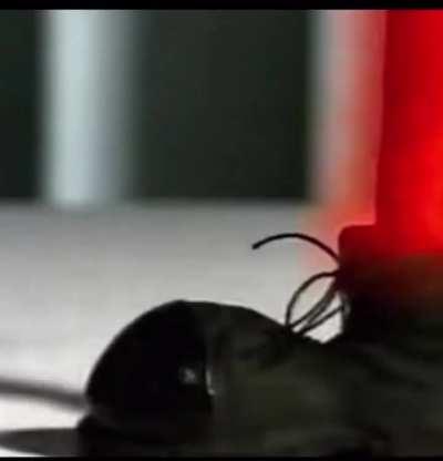 POV: you get bounded and your buddy sits there and does nothing