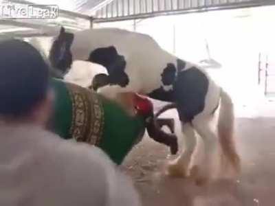 What if they hadn't run to save him?