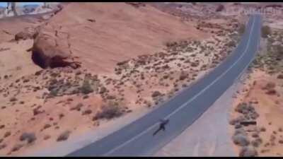 𝑭𝒂𝒔𝒕 𝒂𝒔 𝒇*𝒄𝒌 𝔅𝔬𝔦𝔦𝔦