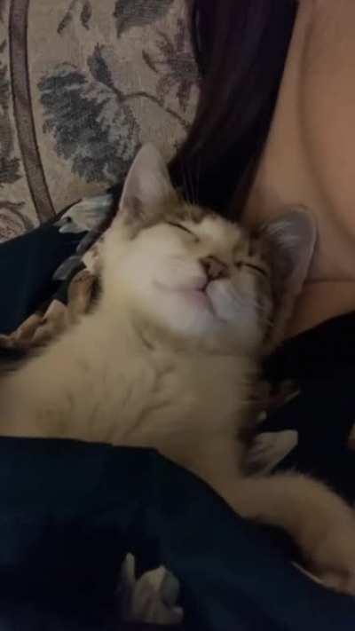 Suspect is currently in custody