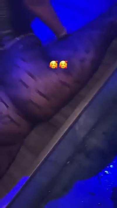 Sheeeeeeeesh (But From Another Angle).