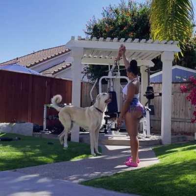 We don’t care about the dog we want the ass!!!