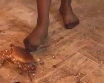 I last classic Beatrice. I shortened it because I don't know if the sexual content is allowed