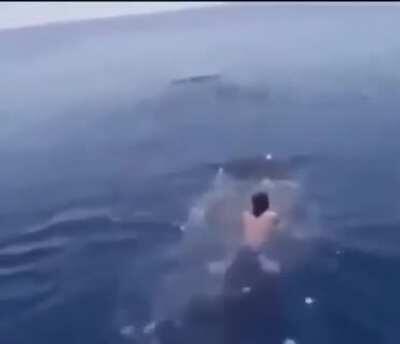 Pokemón simplemente pokemón