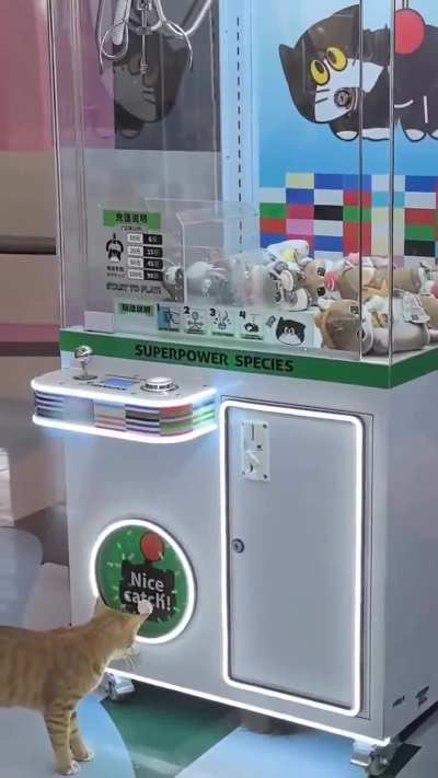 Perfect spot..🐈🐾😅