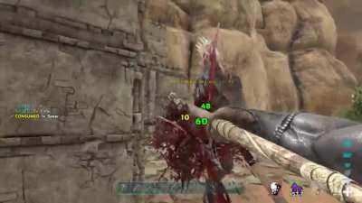 It remembered it had somewhere else to be